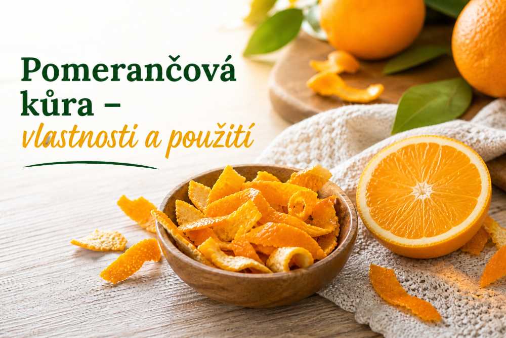 pomeran__ov___k__ra.jpg